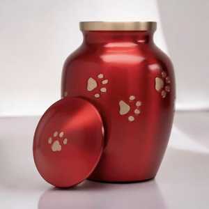 Urne classique en laiton pour animaux de compagnie avec des accents d'empreinte de patte d'or finition brillante métal commémoratif gravure personnalisée ailes d'ange petites urnes pour animaux de compagnie - Product Image 3