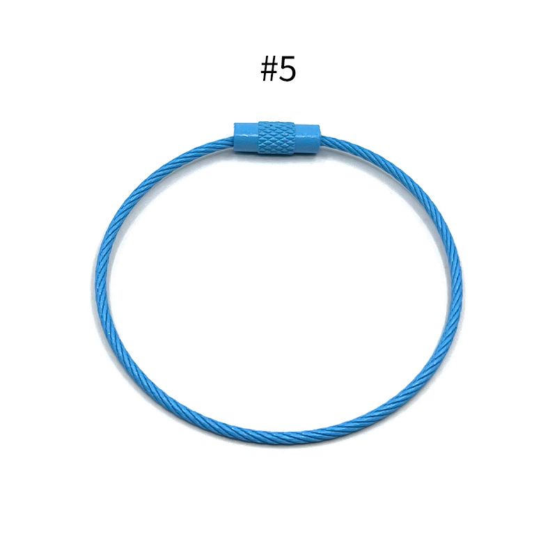 Wholesale Assorted Paint Colors Key Chain Cable Ring Stainless Steel ...