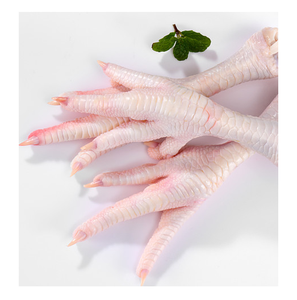 Patas de pollo congeladas de alta calidad a precios de mayorista. Perfecto para distribuidores, mayoristas y minoristas. - Product Image 6