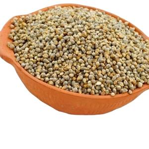 Millet vert pour l'alimentation animale Disponible pour l'exportation - Product Image 3