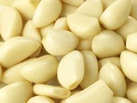 TOP CHOIX pour PREMIUM NOUVEAU STOCK AIL PEELÉ // MEILLEUR PRIX DU VIETNAM