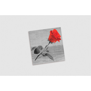 Serviettes imprimées Bella 40x40cm, tissu sec ultra-doux, 600 pièces, B2B - Product Image 1