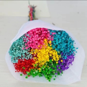 Vente en gros d'usine 120g Fleurs séchées naturelles Gypsophile préservée Bouquet de souffle de bébé Écologique Fait à la main pour Noël - Product Image 6