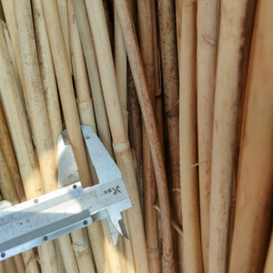 Material de cincha de caña de ratán natural, artesanía transpirable y elegante para sillas y armarios - Product Image 2