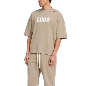 T-shirt épais 100 % coton personnalisable avec impression DTG et sérigraphie, logo, coupe décontractée, tissu tricoté pour homme - Product Image 1