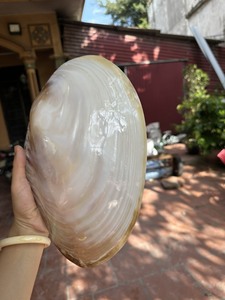 Plaque de nacre de luxe fabriquée à la main Lustre de coquille naturelle reflétant l'art traditionnel vietnamien et la qualité - Product Image 6