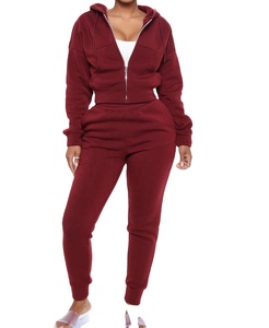 Conjunto de Sudadera con Capucha de Dos Piezas para Mujer, Más Vendido, con Pantalones Deportivos Casuales y Sudadera con Cierre, Spandex/Nylon Transpirable con Elasticidad en Cuatro Direcciones - Product Image 2