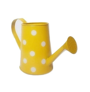 Arrosoir en métal pour plantes d'extérieur et d'intérieur Arrosoir décoratif pour une couleur personnalisée et un meilleur polissage - Product Image 2