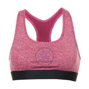 Soutien-gorge de sport sans couture de haute qualité pour femmes Top-Trending Backless Crop Fitness Bra avec coussinets Respirant Extensible Gym Yoga Bra - Product Image 1