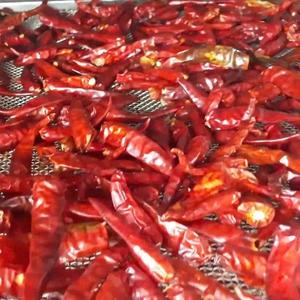 Piments rouges séchés naturels 100% purs de qualité supérieure, paquet de 5 kg - Product Image 6
