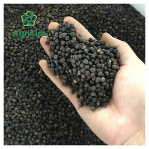 Dried Black Pepper Carefully Selected From Vietnam Premium Quality Asta Standards Affordable Price Ready To Ship