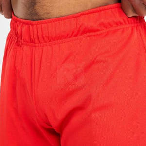 Pantalones cortos de malla para hombre superventas de alta calidad Precio razonable Uso informal Venta caliente Pantalones cortos de malla para hombre para venta en línea - Product Image 3