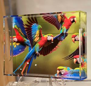 ถาดพลาสติกอะคริลิคใสทรงสี่เหลี่ยมผืนผ้าถาดใส่รูปภาพแสดงสีสันสดใส - Product Image 1