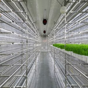 Contenedor de 40 pies para Cultivo de Forraje, Diseño Llave en Mano, para Granjas Ganaderas Comerciales a Gran Escala - Product Image 3