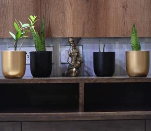 Jardinière en métal de créateur fabriquée à la main finition nickel poli pour hall d'entrée de jardin ou salon d'affichage - Product Image 4