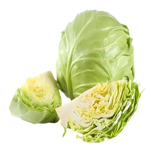 Chou Vert Frais Biologique à Vendre Qualité Premium Fournisseur Direct de la Ferme Vente en Gros Livraison Rapide Choix Sain - Product Image 3