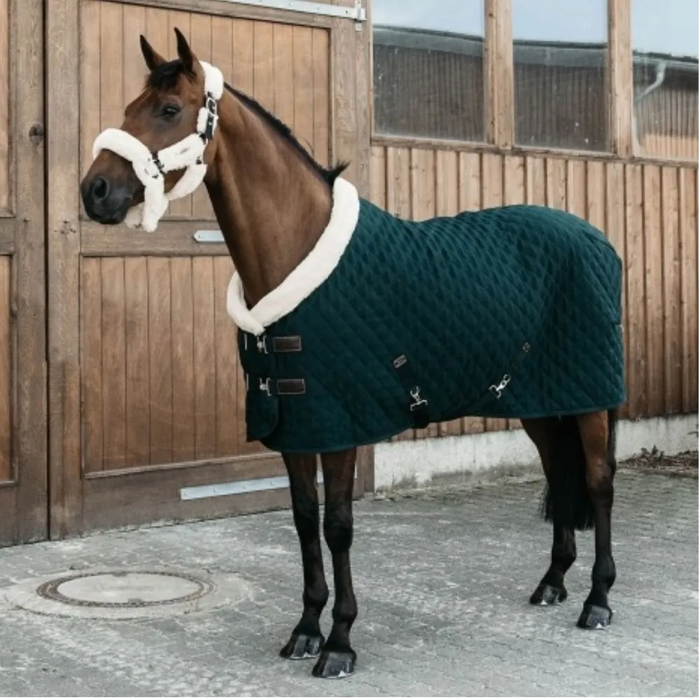 High Quality Equestrian 1680D Waterproof Breathable Combo Turnout Horse Rug Horse Racing Supplies Horse Blanket White Winter GUA