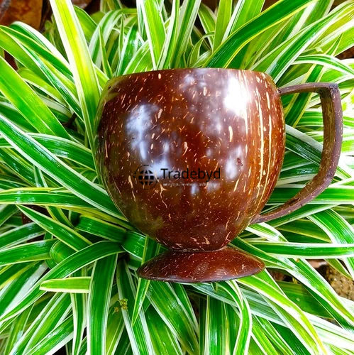 Available in Different Colors