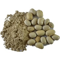 Complément Herbal Premium : Extrait Naturel de Graines de Kounch de Haute Qualité, Poudre Conditionnée en Fût, Qualité Alimentaire, Extraite par Solvant