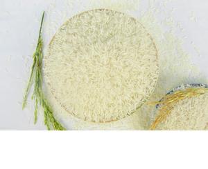 Arroz de grano largo, jazmín, Thai, la mejor pureza estándar del 100% - Product Image 1