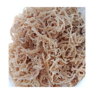 Vente en gros de produits de la mer sains, mousse de mer irlandaise jaune et violette, algues fraîches crues eucheuma cottonii de 99 Gold Data Vietnam - Product Image 2