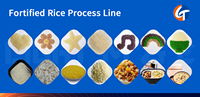 Extrudeuse automatique de production de riz artificiel de nutrition populaire Riz enrichi de nutrition faisant la machine