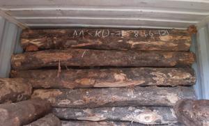 Grumes rondes en bois de teck doré séché au four-Importateur Grossiste Distributeur - Product Image 3