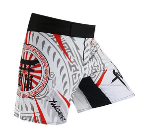 Pantalones Cortos de Entrenamiento de MMA Profesionales Totalmente Personalizados, Pantalones Cortos de Lucha Sublimados Personalizados, Artes Marciales, Boxeo, Grappling, para Hombre, Lavados, Elásticos - Product Image 5