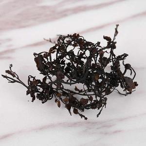 Algues sargasses séchées au soleil bon prix en vrac quantité algues séchées naturelles prêtes à exporter - Product Image 5