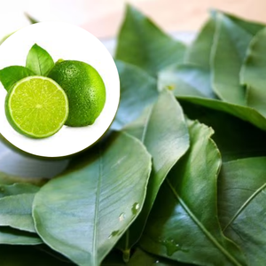 100% hojas de limón secas naturales puras hojas de limón secas limpias/en rodajas de Vietnam con precio al por mayor - Product Image 1