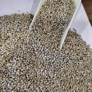 Hog Millet - Product Image 3