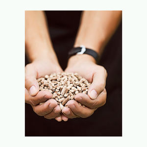 Granulés de bois, combustible biomasse à combustion propre pour le chauffage résidentiel - Product Image 4