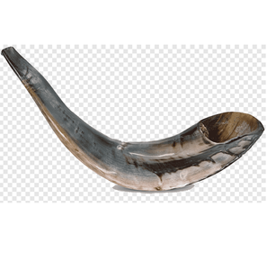 Kosher shofar ธรรมชาติแกะแกะแกะขัดตกแต่งชิ้นสำหรับวัตถุประสงค์ทางศาสนาทะเลตกแต่งบ้าน - Product Image 1