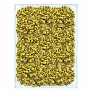 PURE NATURAL <b>DRIED</b> DAISY CHAMOMILE <b>PETALS</b> WITH MILD FLAVOR FOR TEA DAILY HEALTHY DRINKS AND CULINARY USE - Product Image 6