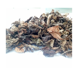 ใบเยลลี่หญ้าธรรมชาติ100% (mesona chinensis) สำหรับของหวานหญ้าดำตากแห้งในเวียดนามใบวุ้นหญ้าแห้ง - Product Image 1