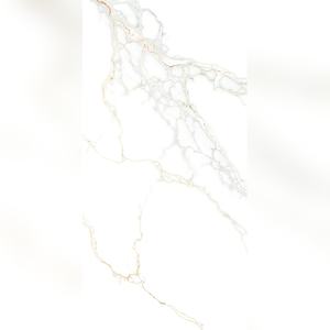 Porcelana Vitrificada Tipo Espejo Refinada de 600x1200 mm, Pulido de Salas de Conferencias y Salas de Juntas a la Perfección - Product Image 3