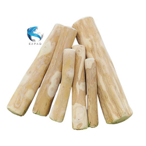 Vegan And Tough: Le jouet à mâcher pour chien en bois parfait pour un jeu sans fin pour votre animal de compagnie - Product Image 4