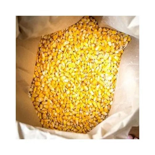 الذرة الصفراء، الذرة الصفراء المجففة، الفشار، الذرة البيضاء لاستهلاك وتغذية الحيوانات