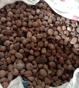 พรีเมี่ยมสินค้าเกษตรลูกจันทน์เทศในรูปแบบหัก/bwp - Product Image 1