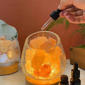 Lampe de sel de l'Himalaya en cristal rose LED électronique naturelle pour la maison, diffuseur d'arômes pour la chambre, corps en verre, vente en gros - Product Image 4