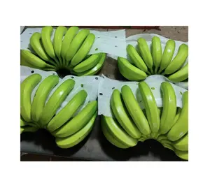 Export-quality fresh bananas/ Prime Cavendish bananas/ Vietnam exporter agriculture sandy99gdgmailcom