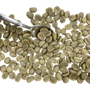 Grains de café Arabica du Vietnam, nouvelle récolte, qualité constante pour le broyage commercial, emballage pour la restauration - Product Image 1