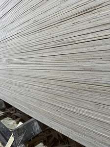 Contreplaqué imperméable de coffrage de construction de noyau frais de 15mm 18mm de film antidérapant de Tego - Product Image 4