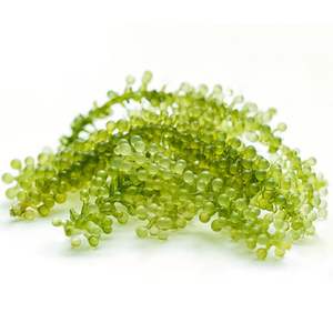 สาหร่ายองุ่นที่เก็บรักษาไว้ (เกลือ) ในถุงพร้อมรับประทานสินค้าส่งออกจากเวียดนาม - Product Image 1