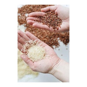 Riz Sella doré Pusa Basmati à grain long de qualité supérieure avec texture moelleuse supérieure - Product Image 2