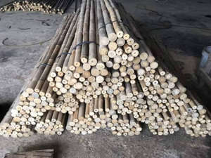 Barras de Bambú 2025 de la Mejor Calidad de Vietnam, Materia Prima Seca de Granja HD para Uso en Construcción - Product Image 2