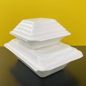 Assiette/plateau/conteneur/boîte alimentaire jetable en mousse PS 9x9 pouces de qualité supérieure, fabriqué au Vietnam, pour la vente à emporter, service OEM/ODM, vente en gros. - Product Image 2
