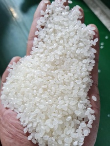 Alta Calidad Japonica Arroz Riz-Arroz-Calrose Riz-Arroz-Calrose Bulk Riz-Arroz-Calrose Grain court 1kg 2kg 5kg 25kg Envases - Product Image 3