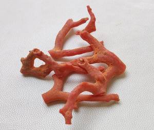 ปะการังแดงดิบ 100% ธรรมชาติ ปะการังอิตาลี หินมีค่า รูปทรงกิ่งไม้ ไม่ขัดเงา คุณภาพ AA++ ปะการังแท่ง หินมีค่า ปะการังแดงแท่ง - Product Image 2