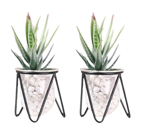 Vase à fleurs hydroponique de conception simple terrarium avec support en métal prix de gros Vase en fer de luxe décor de mariage végétal - Product Image 3